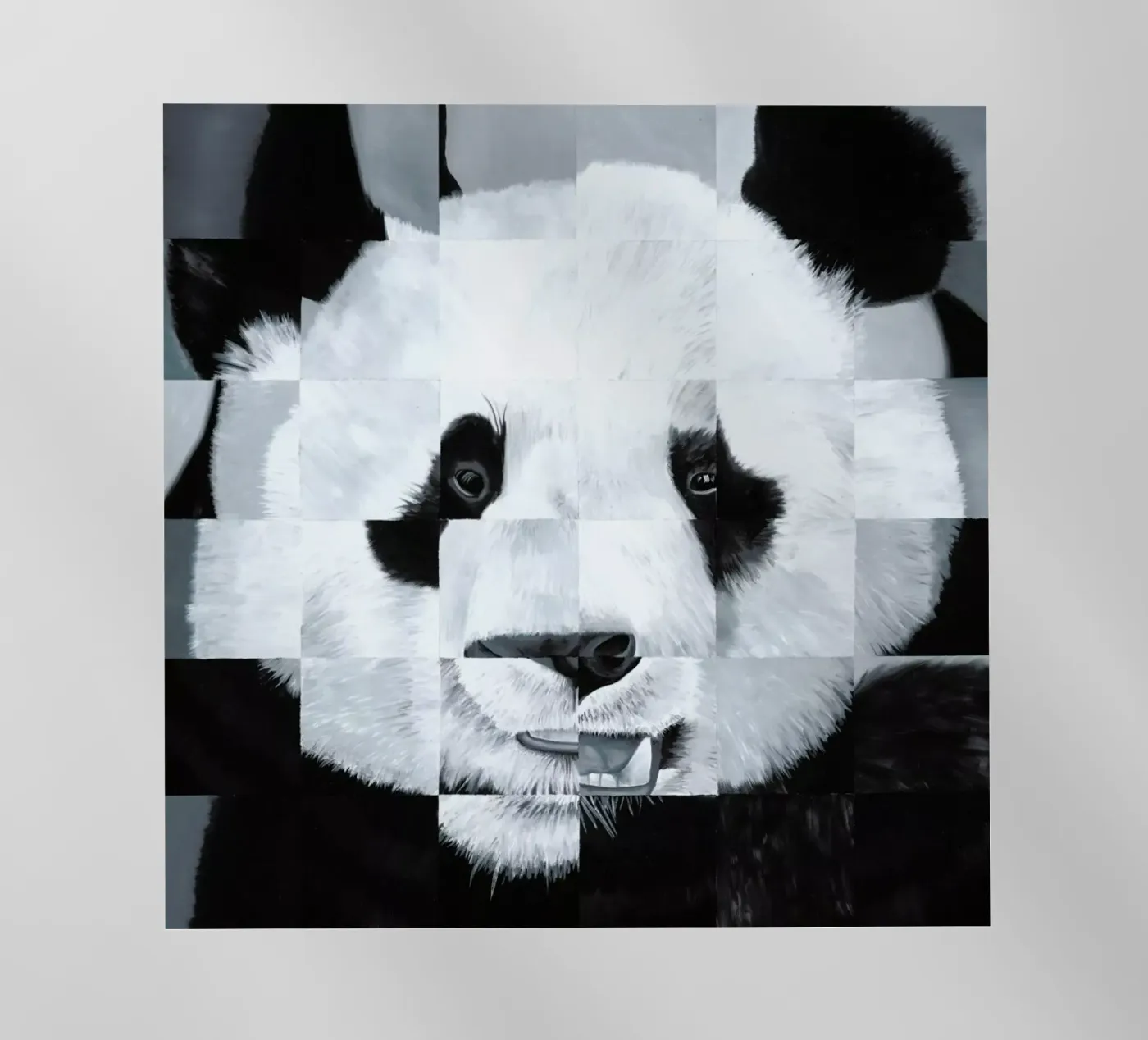 Panda pellicola backlit da Allison Chaplin