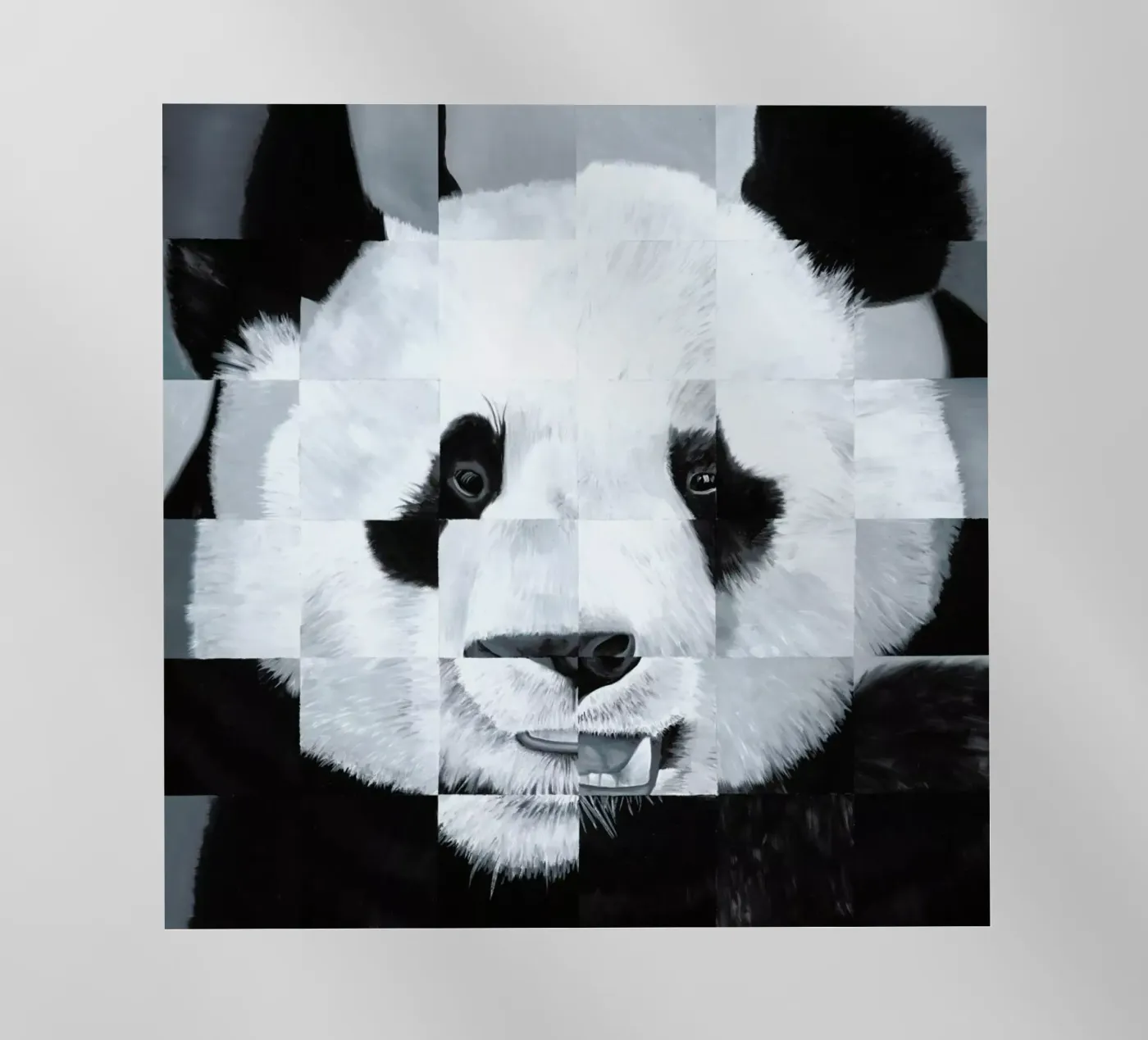 Panda backlit film by Allison Chaplin