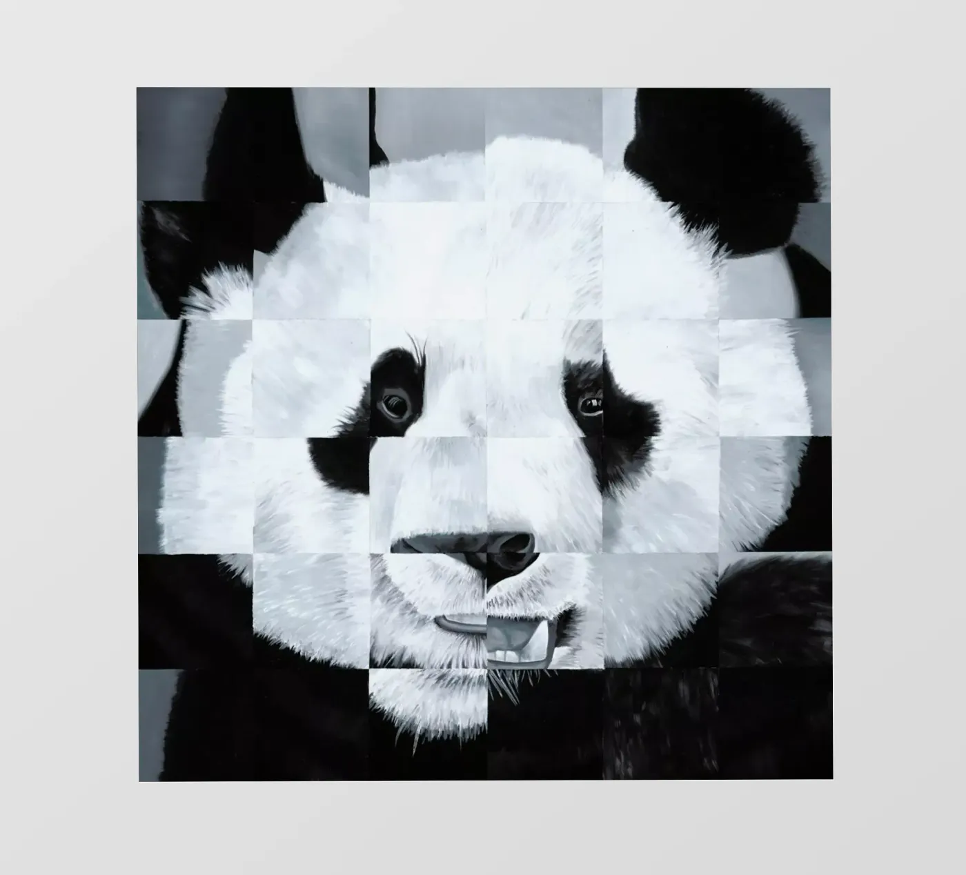 Panda pellicola backlit da Allison Chaplin
