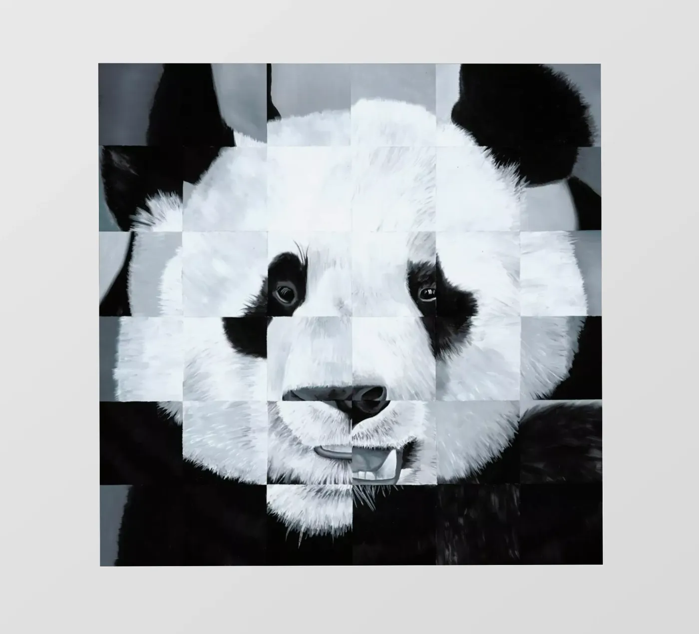 Panda pellicola backlit da Allison Chaplin