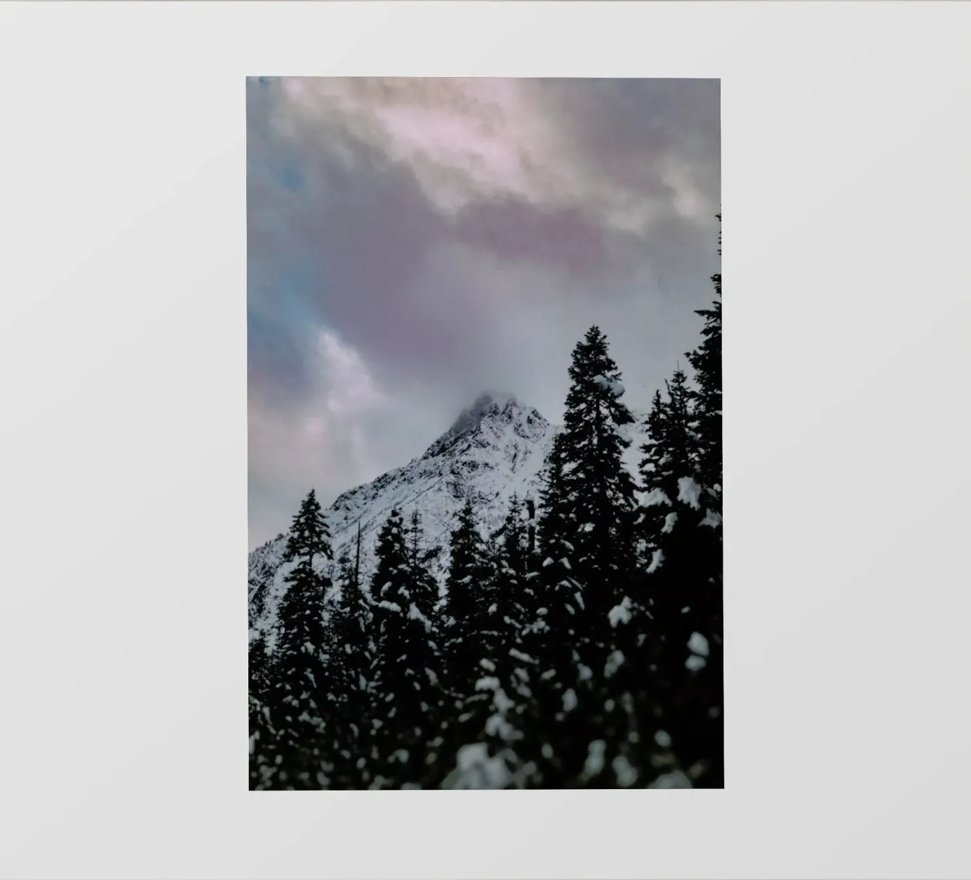 Cascade Mountain pellicola backlit da Leah Flores