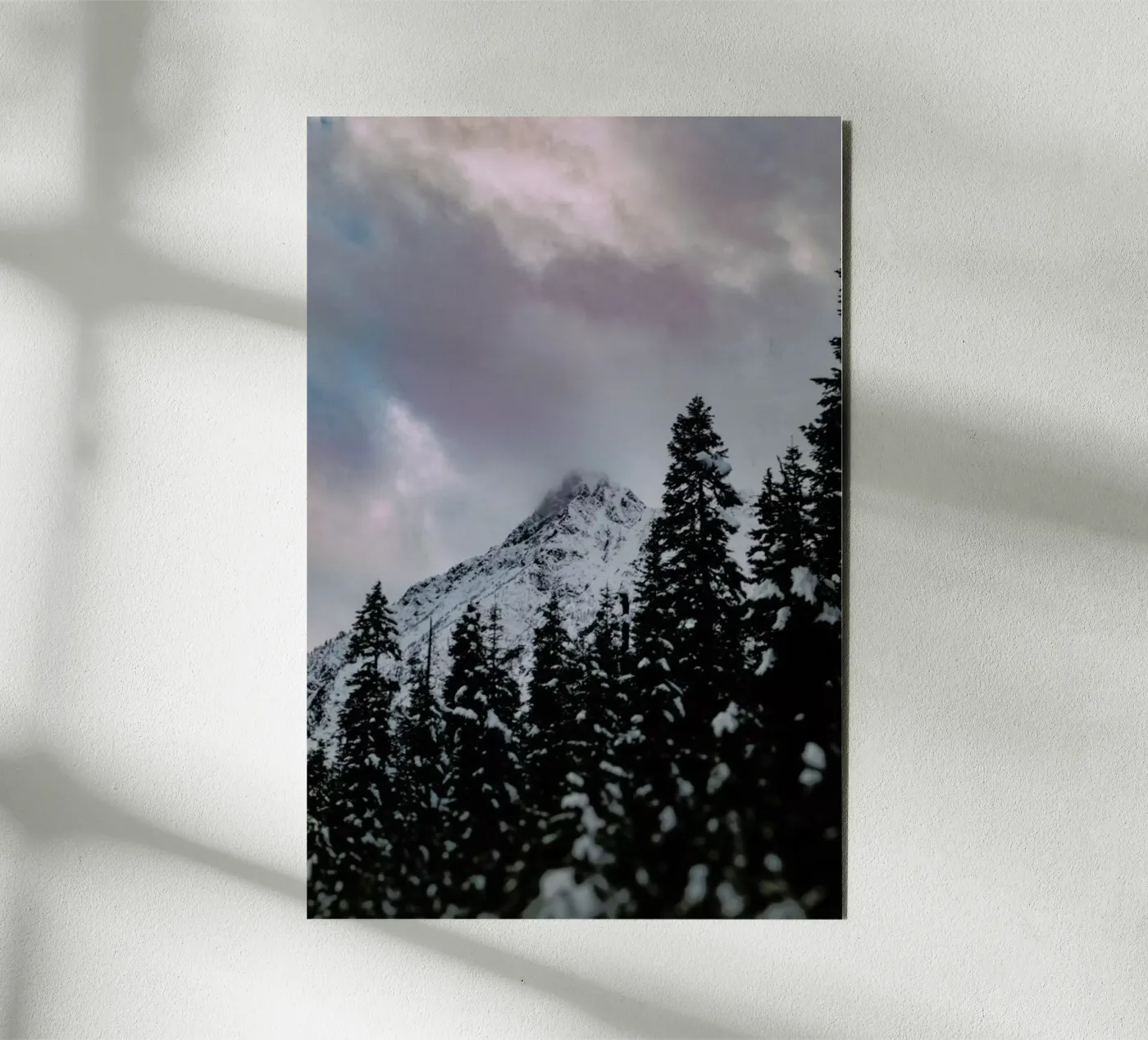 Cascade Mountain forex-plaat van Leah Flores