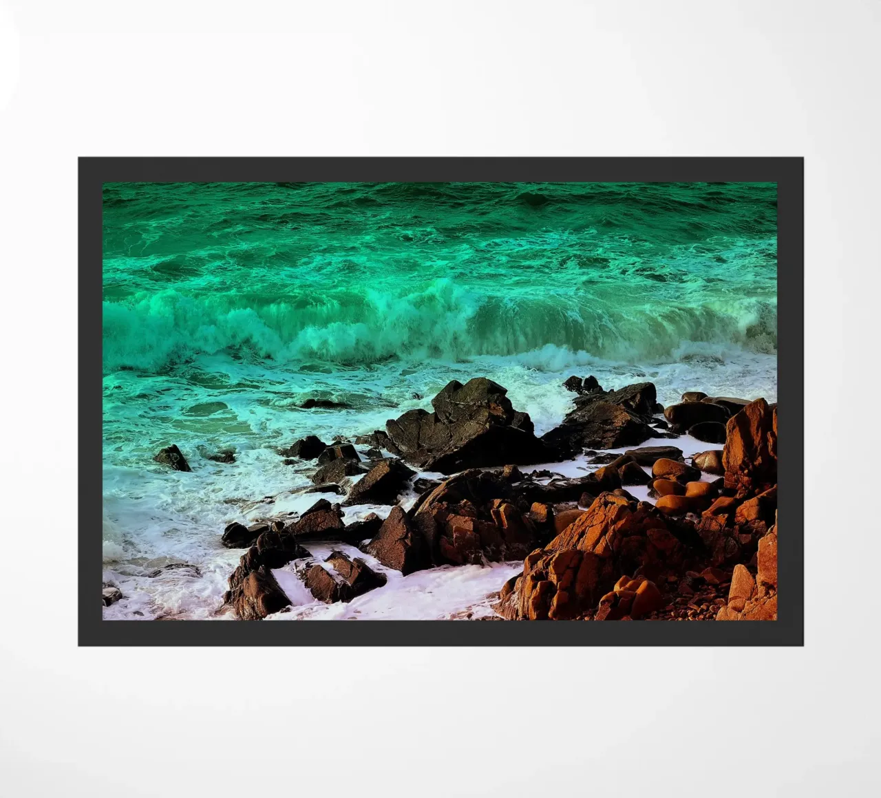 FAA101 zerbino da Thierry vobmann photography