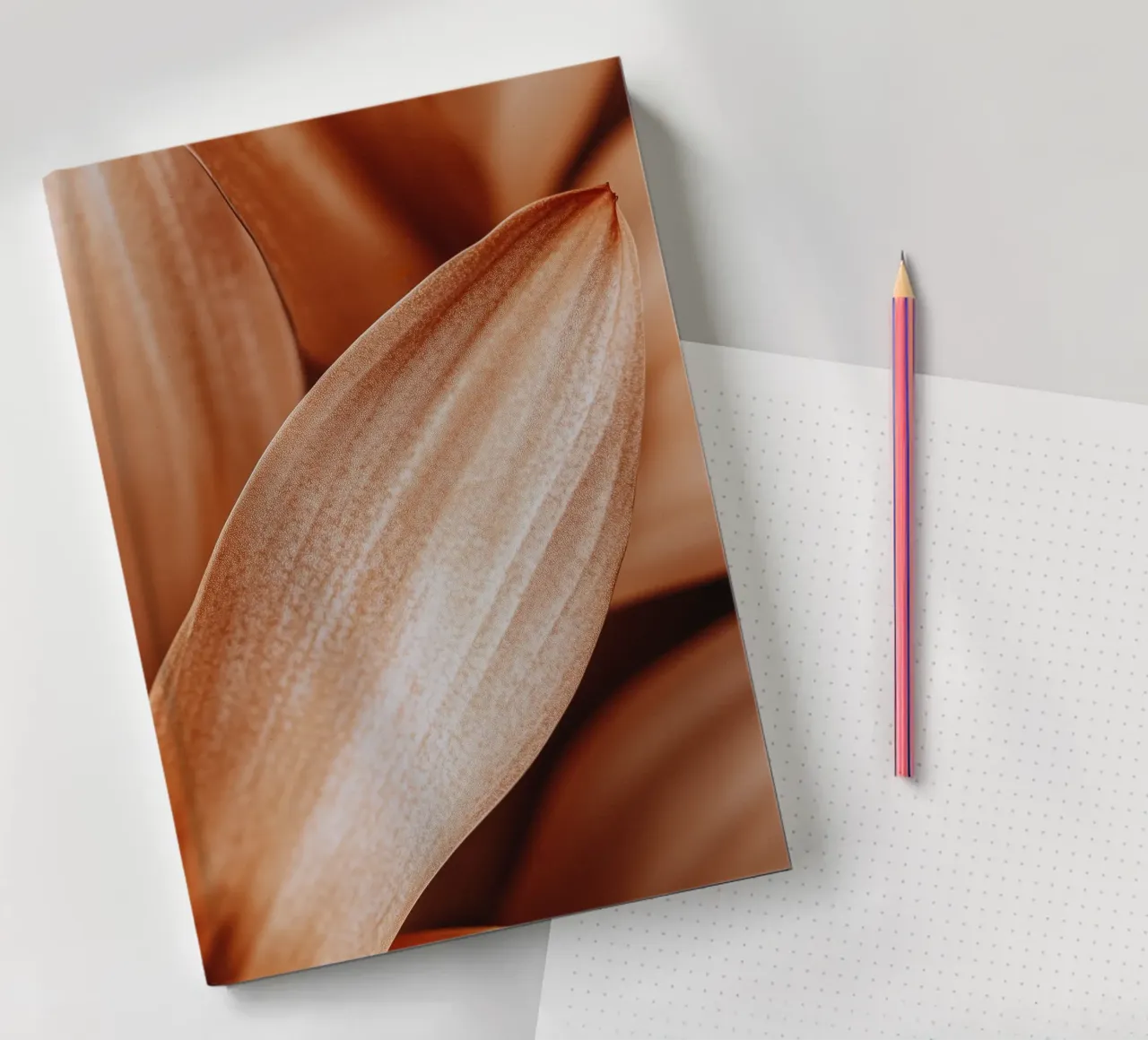 Leaf Detail diario da treechild