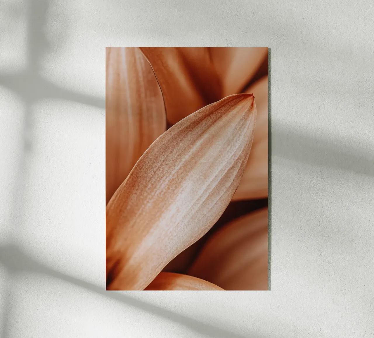 Leaf Detail plexiglass da treechild