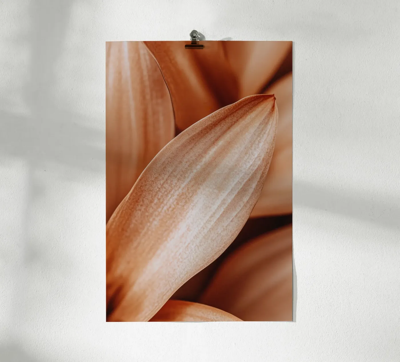Leaf Detail poster by treechild