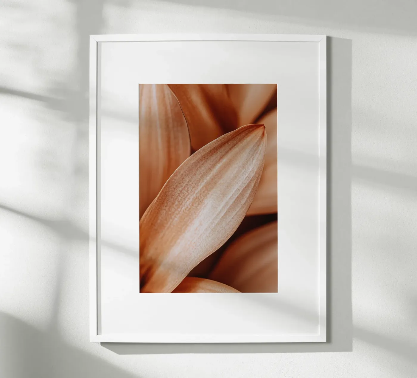 Leaf Detail poster by treechild