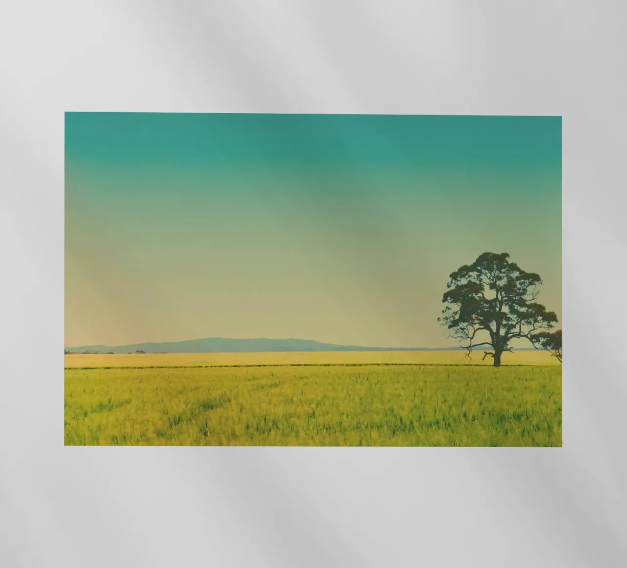 Gomersal Views pellicola backlit da Emma Zoe Brew