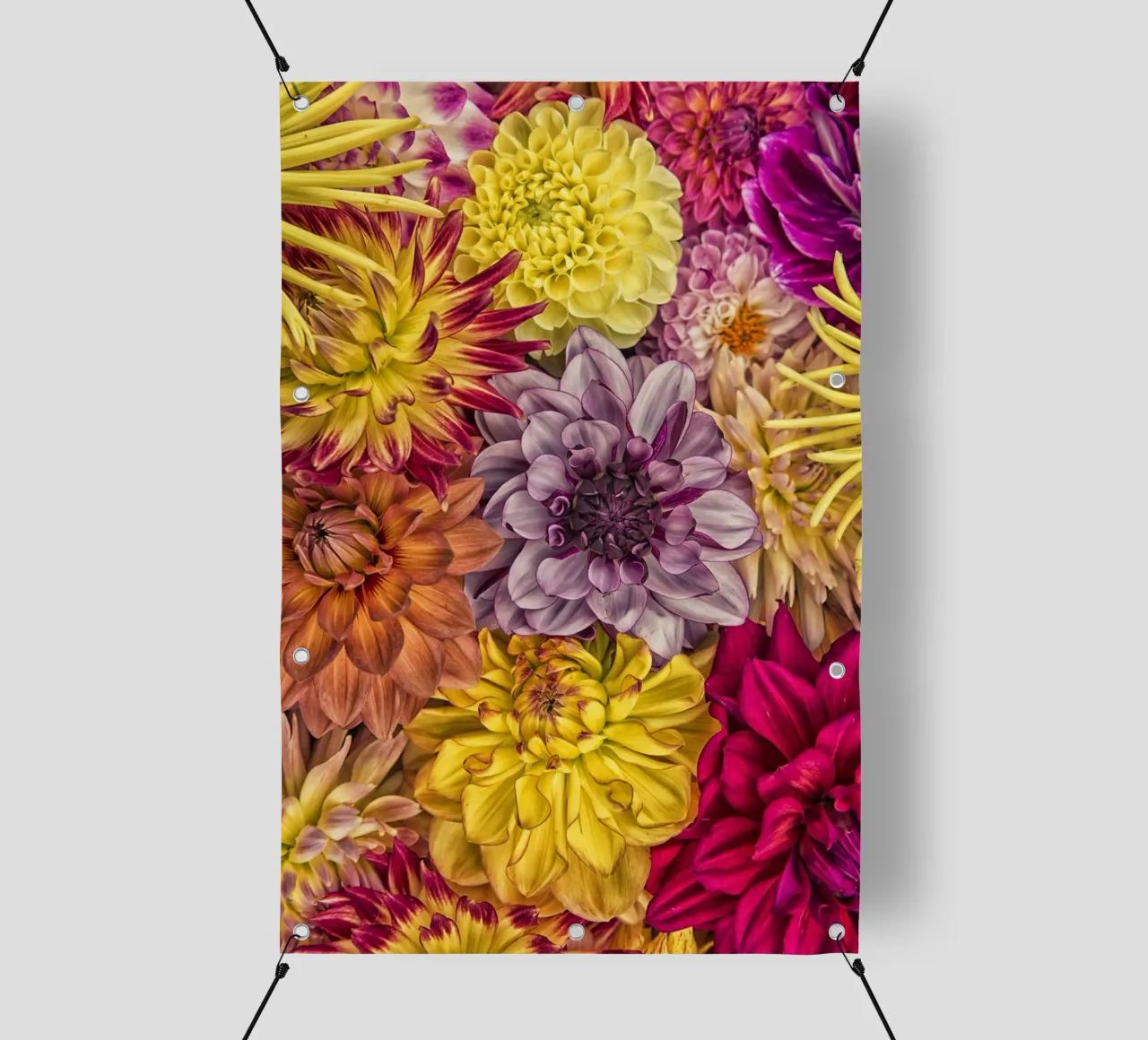 Bellissime dalie in piena fioritura telo in pvc da Curious Collections by Marielle Leenders