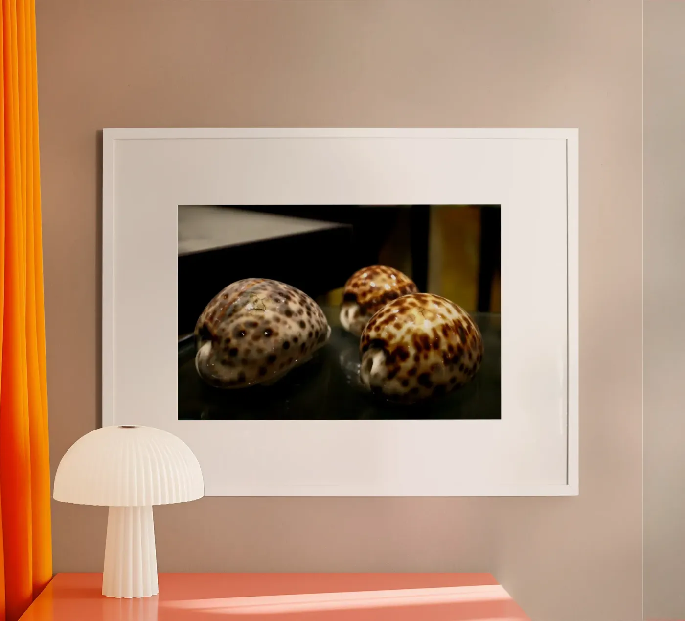 Shell poster by Lise Ruault