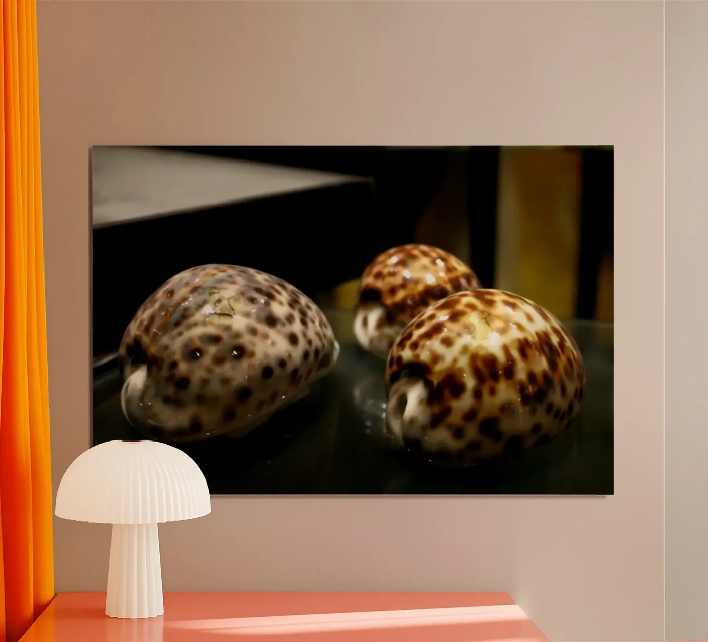 Shell poster by Lise Ruault