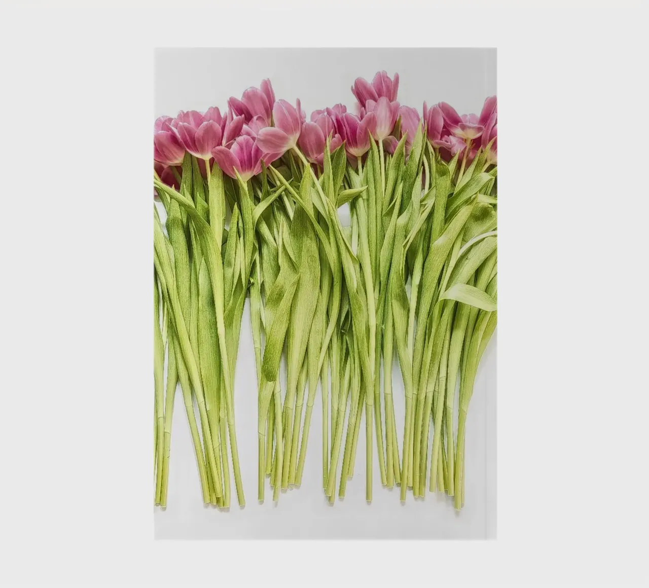A Bouquet of Pink Tulips notebook by Curious Collections by Marielle Leenders
