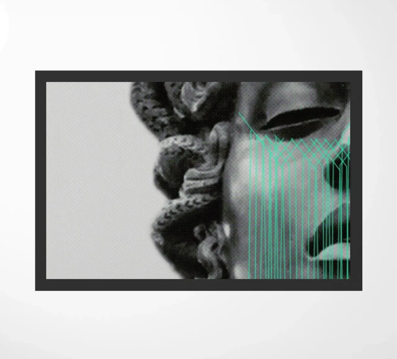 LDN zerbino da Frank Moth