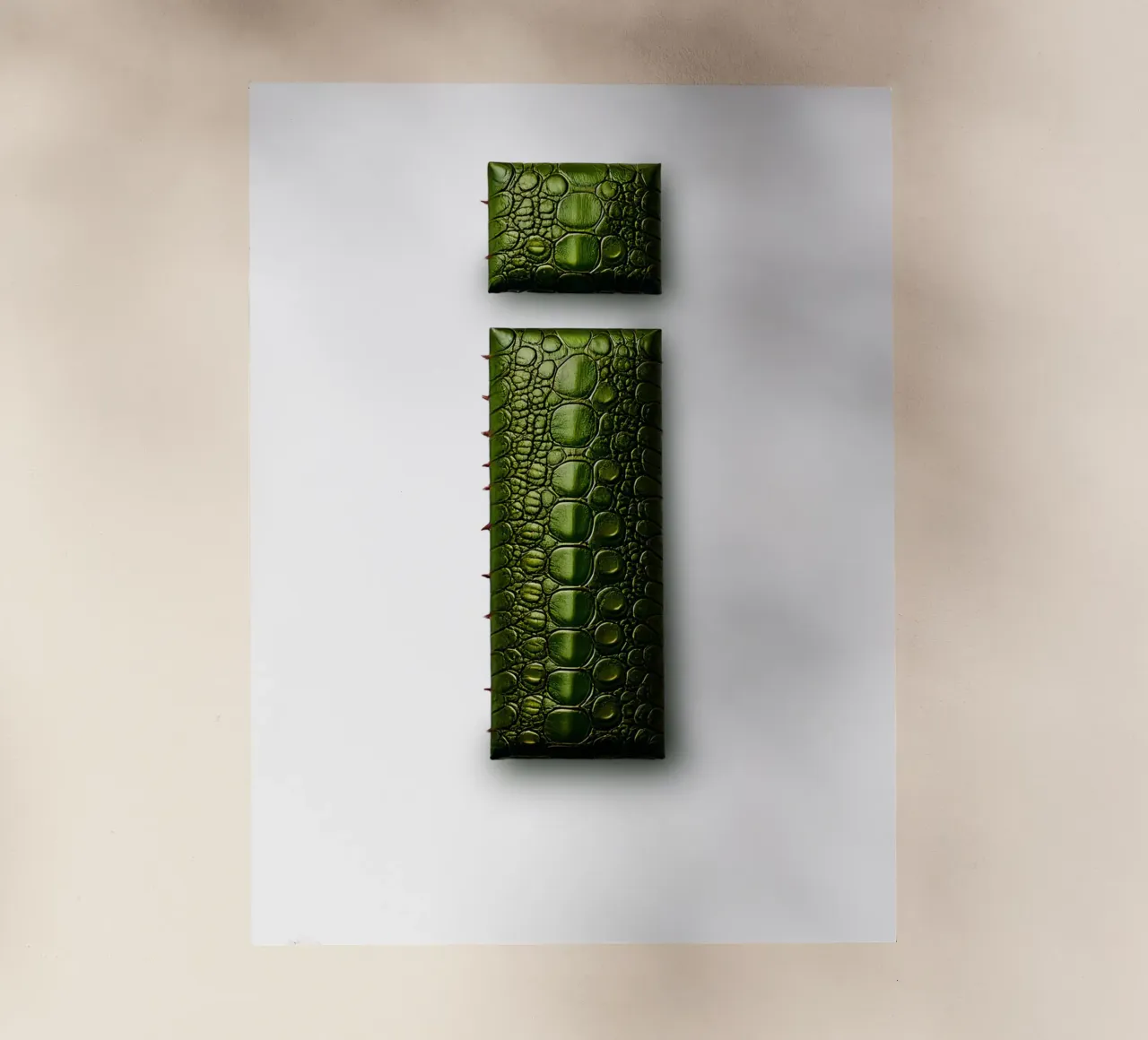 i – iguana pellicola backlit da The True Type
