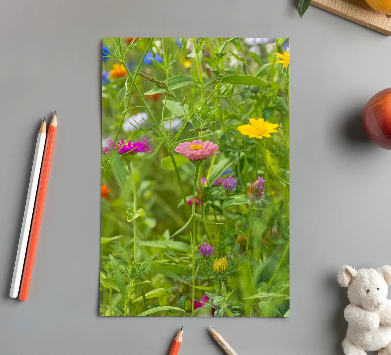Blush in Bloom: Pink Zinnia Among Wildflowers sticker sheet by Curious Collections by Marielle Leenders