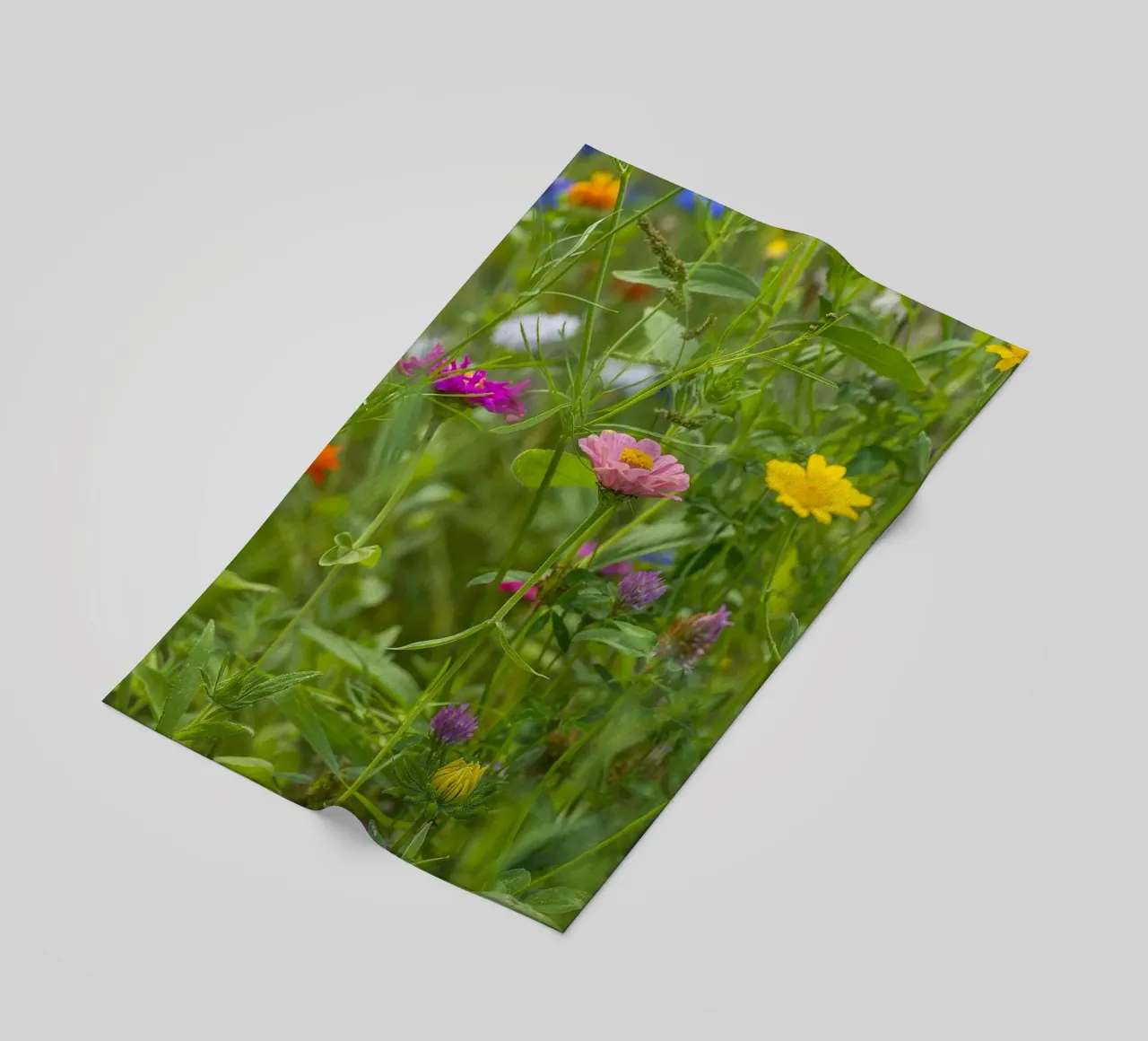 Fiori in fiore: Zinnia rosa tra i fiori di campo telo mare da Curious Collections by Marielle Leenders
