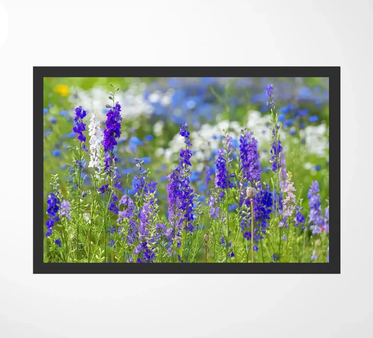 Un mare di serenità: Campo di delphinium viola zerbino da Curious Collections by Marielle Leenders