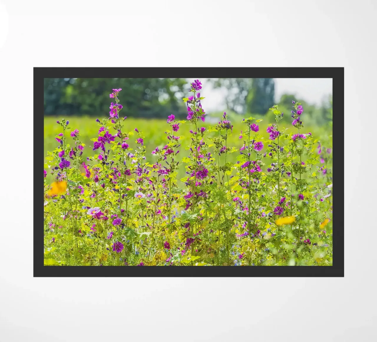 Un campo di bellezza: Fiori di Malva in fiore zerbino da Curious Collections by Marielle Leenders