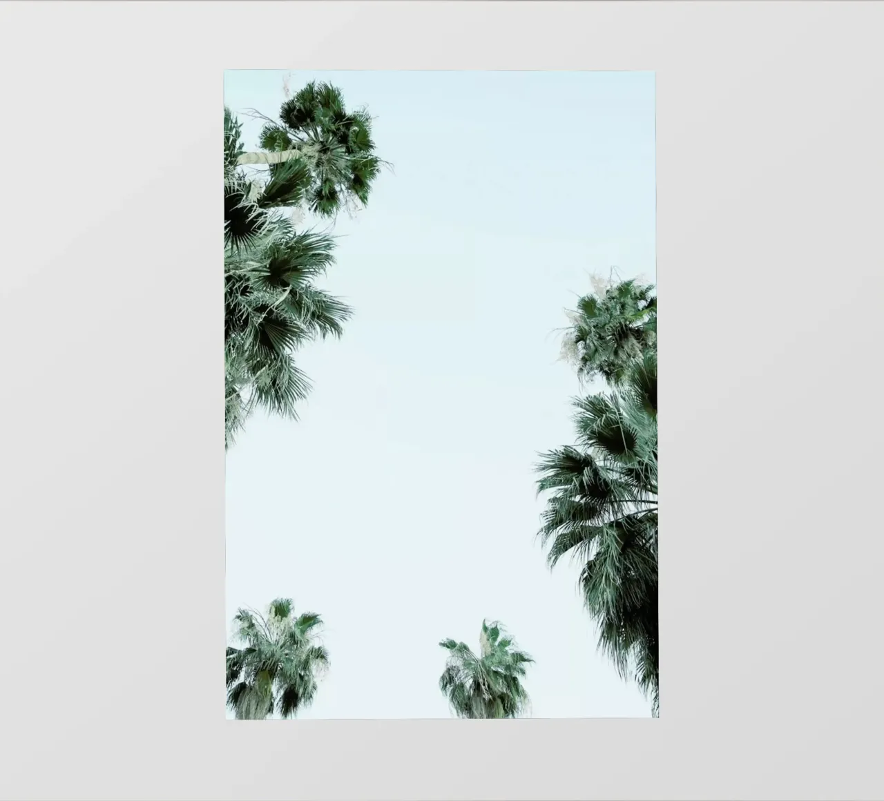 Palm Springs pellicola backlit da Shot By Clint