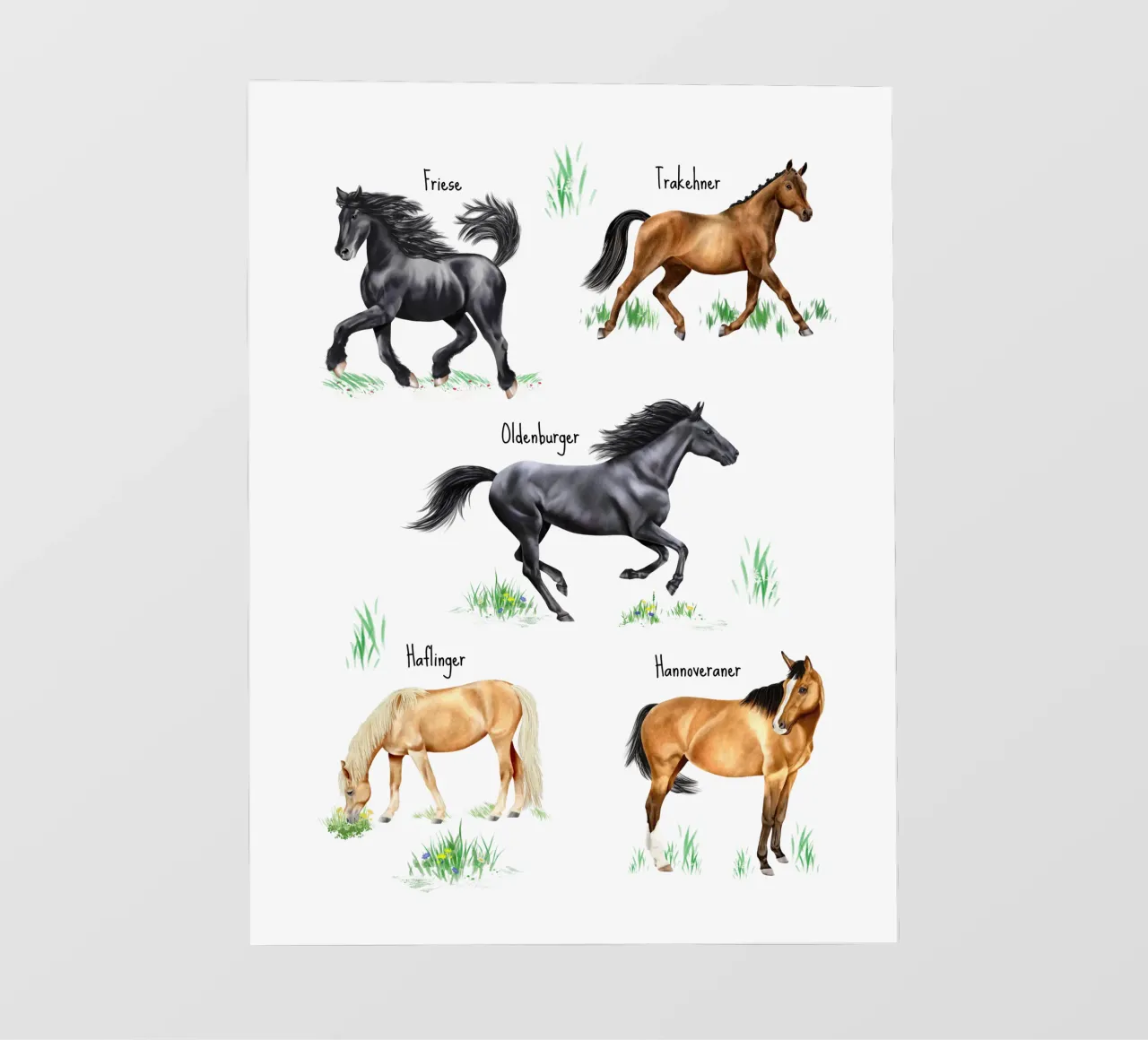 Cavalli e pony n. 02 pellicola backlit da Moonlit Illustrations