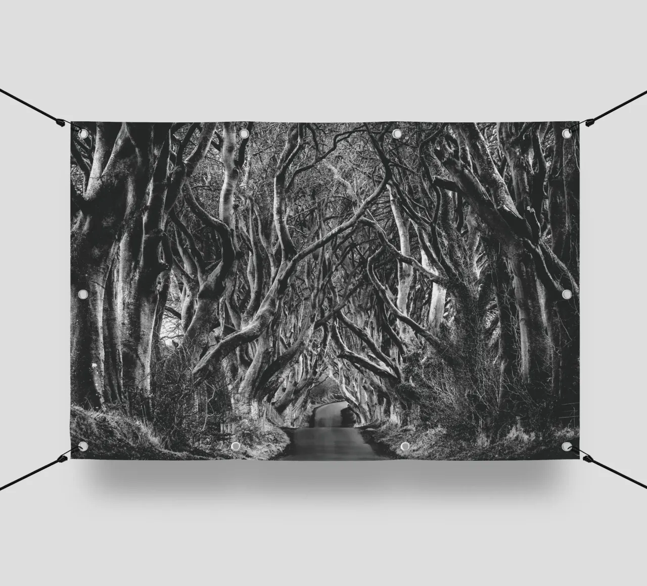 Siepi scure telo in pvc da Dave Hare Photography