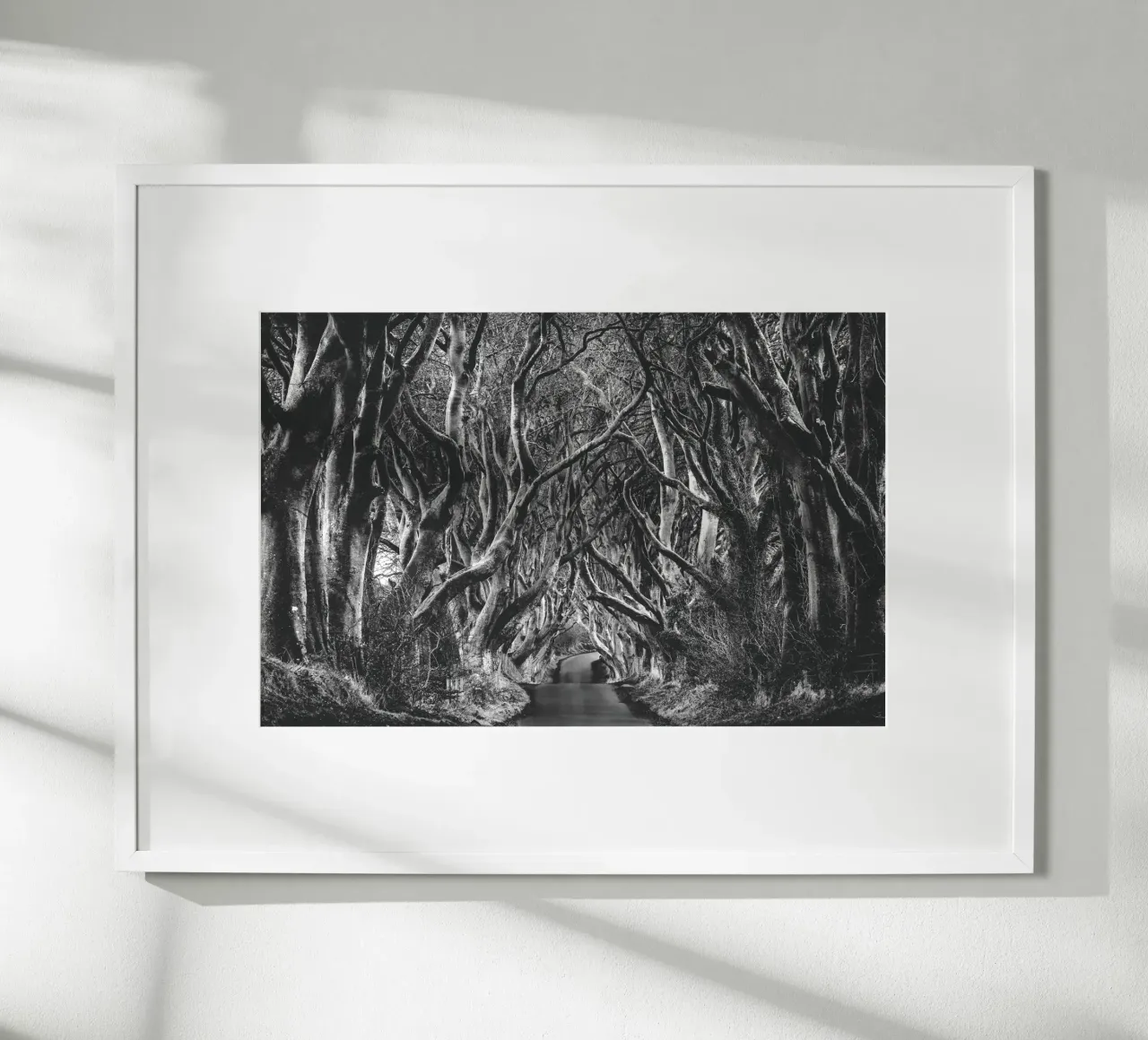 Siepi scure carta hahnemühle da Dave Hare Photography
