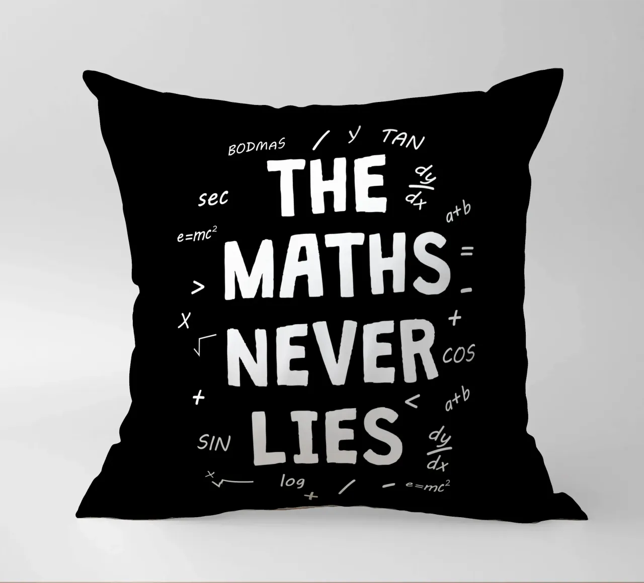 The maths never lies cuscino da happieeagle