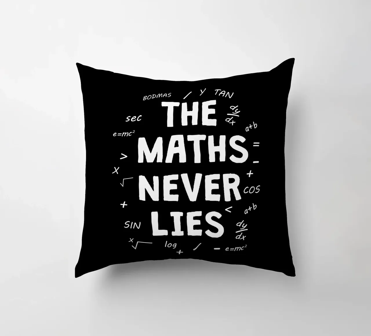The maths never lies cuscino da happieeagle
