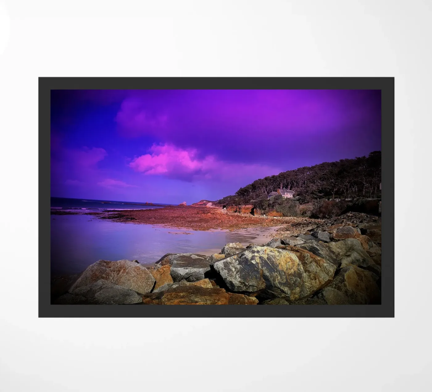 FAA103 zerbino da Thierry vobmann photography