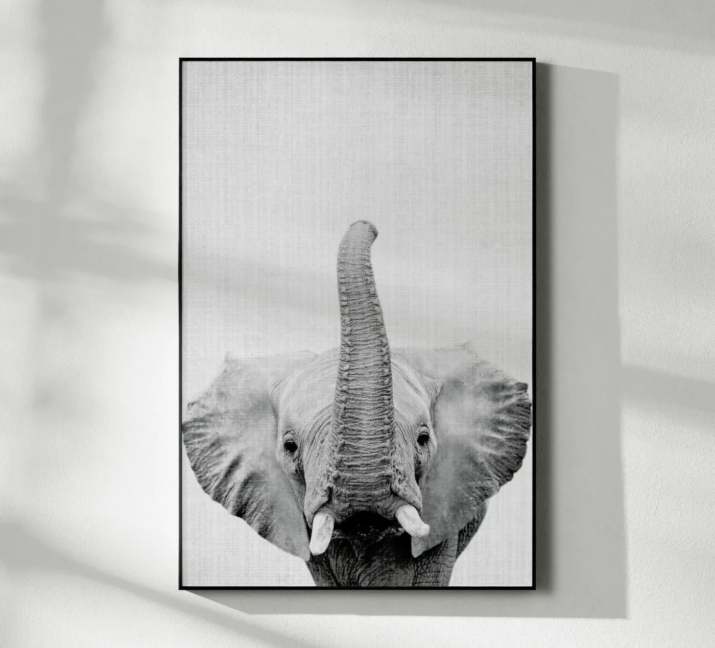 Print 50 acryl van Lila & Lola