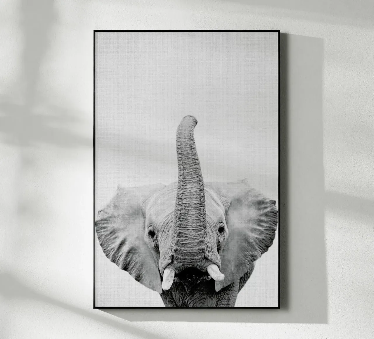 Print 50 plexiglass da Lila & Lola