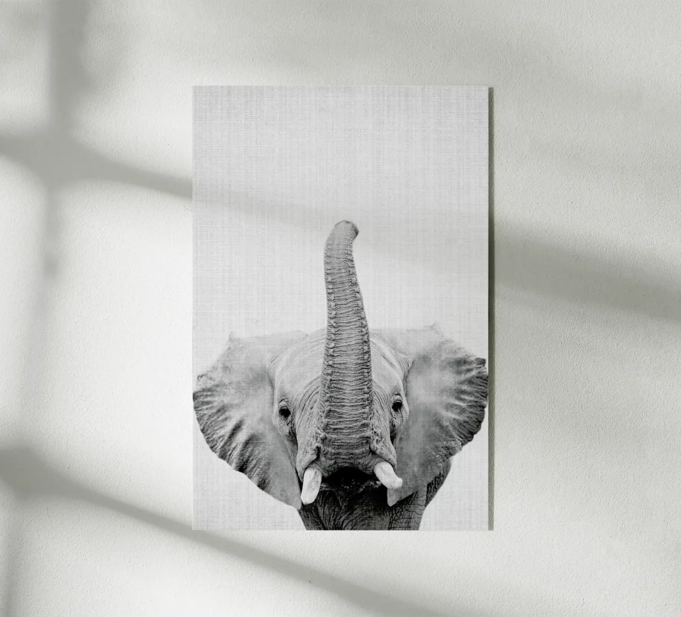 Print 50 acryl van Lila & Lola