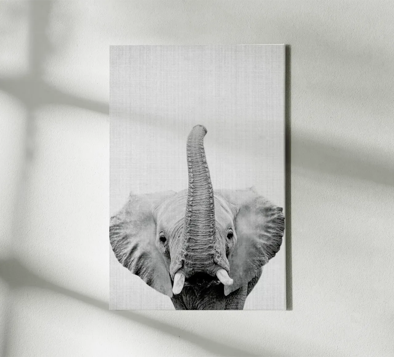 Print 50 canvas by Lila & Lola