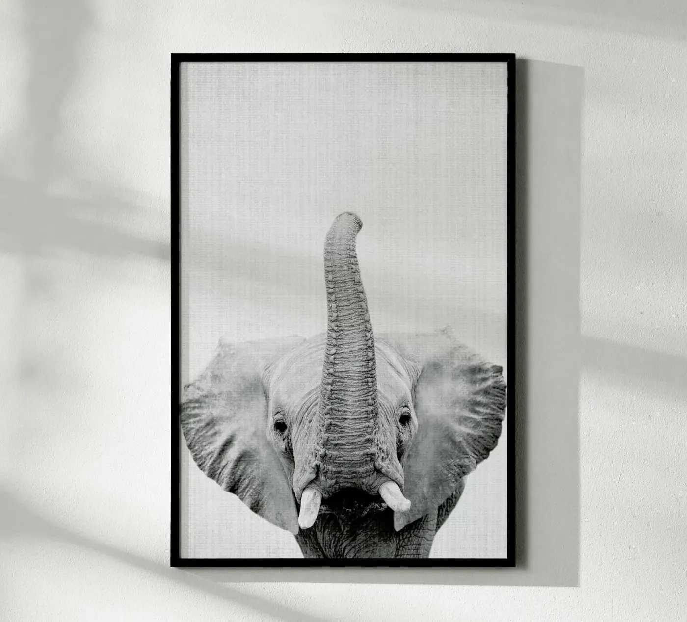 Print 50 poster da Lila & Lola