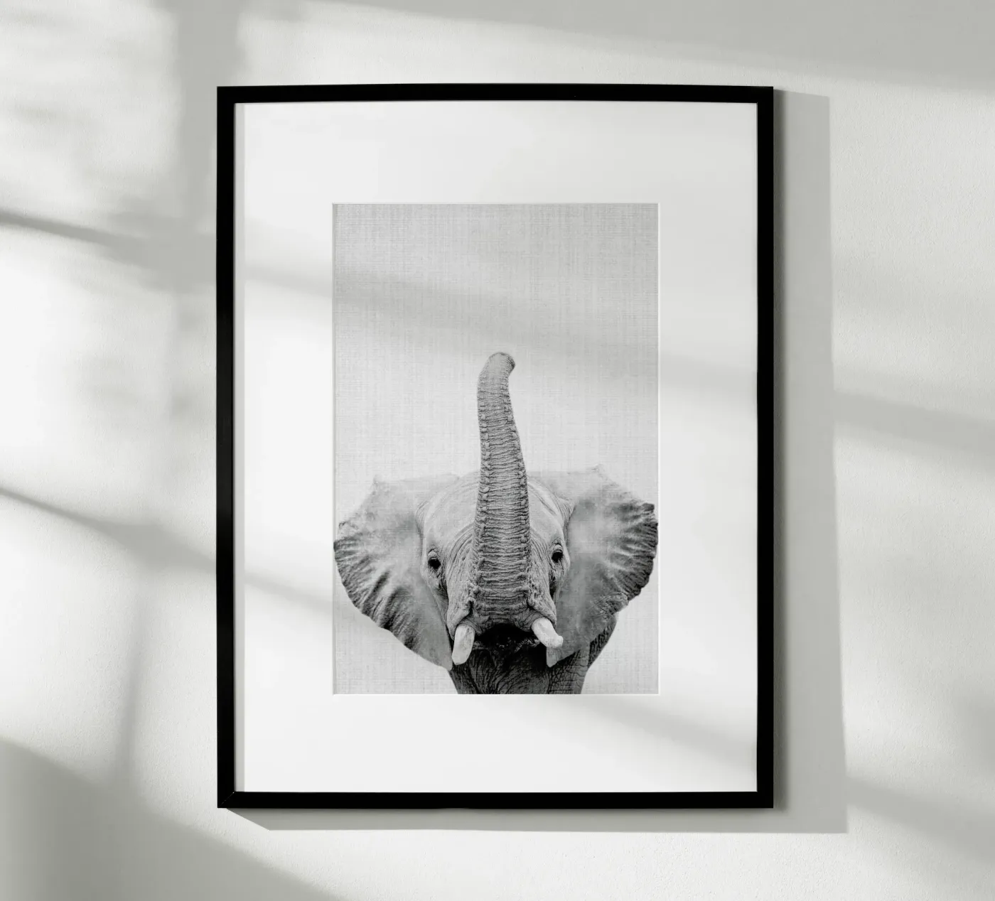 Print 50 poster da Lila & Lola