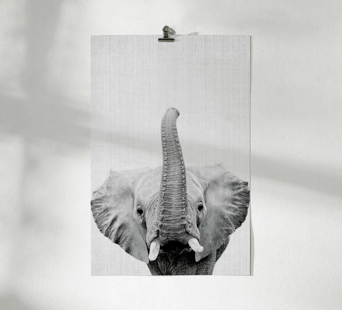 Print 50 Poster von Lila & Lola