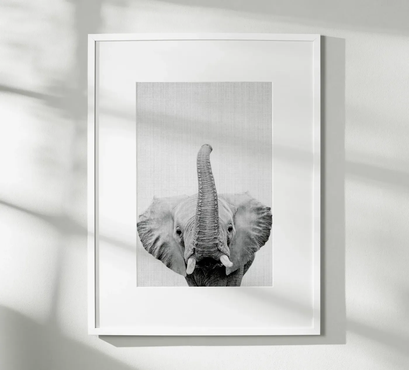 Print 50 Poster von Lila & Lola