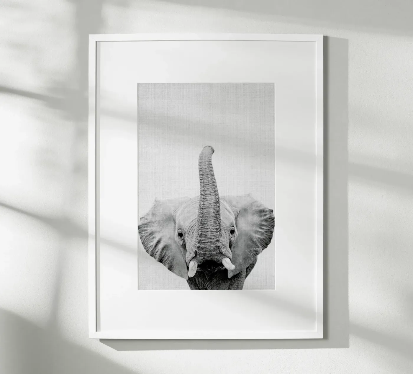 Print 50 poster da Lila & Lola