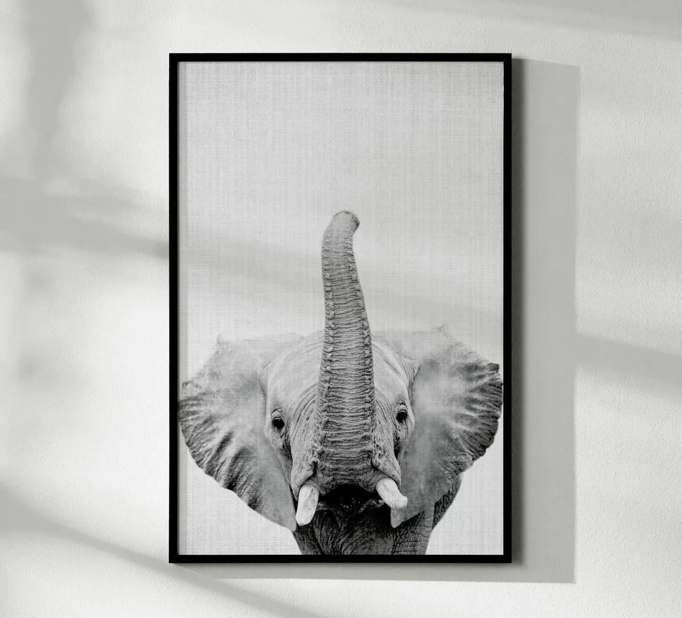 Print 50 Poster von Lila & Lola