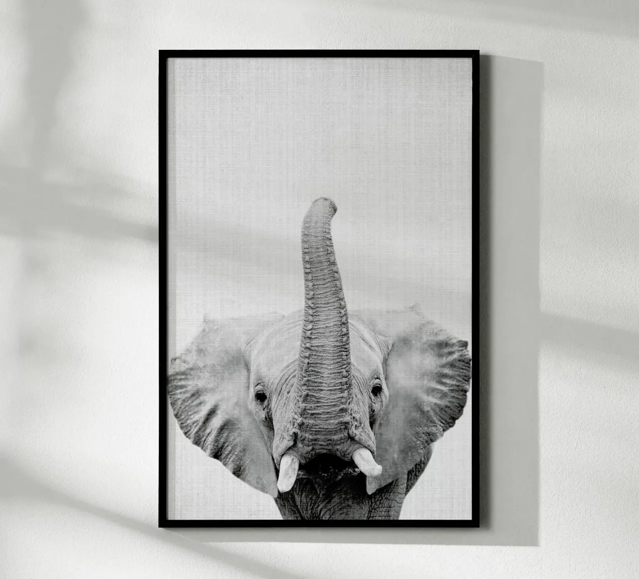 Print 50 hahnemühle by Lila & Lola