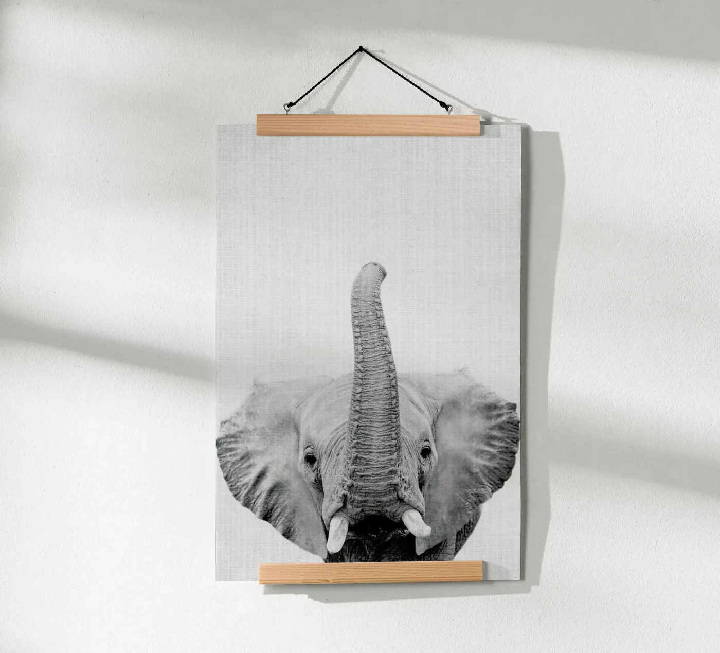 Print 50 Poster von Lila & Lola