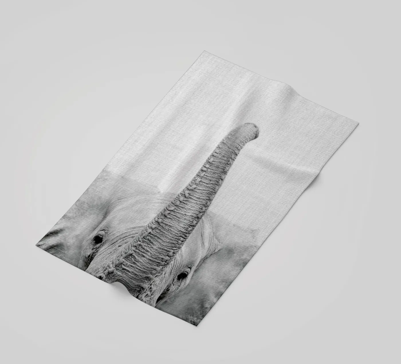 Print 50 telo mare da Lila & Lola