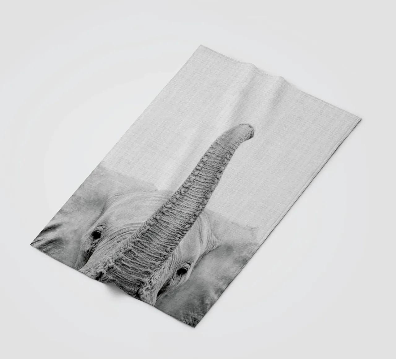 Print 50 coperta in pile da Lila x Lola