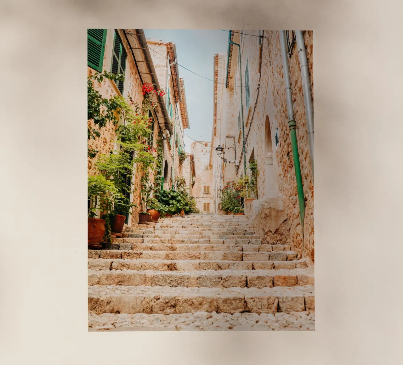 Maiorca - Scala in pietra con piante verdi a Fornalutx pellicola backlit da Bold and Retro