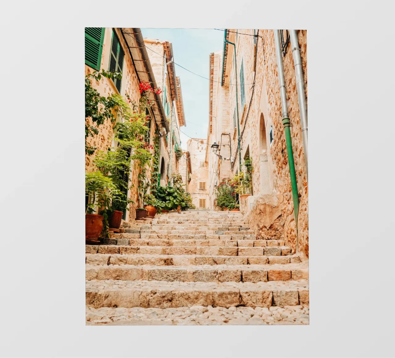 Maiorca - Scala in pietra con piante verdi a Fornalutx pellicola backlit da Bold and Retro