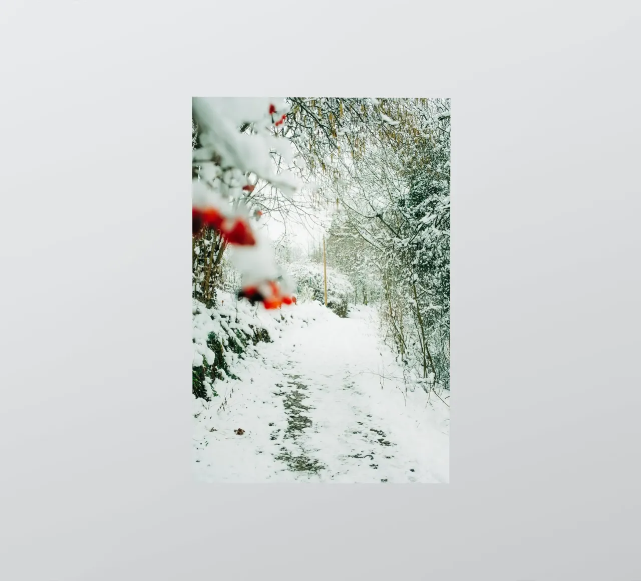 Winterlandschaft Sächsische Schweiz - Waldweg mit Schnee Sticker von Bold and Retro