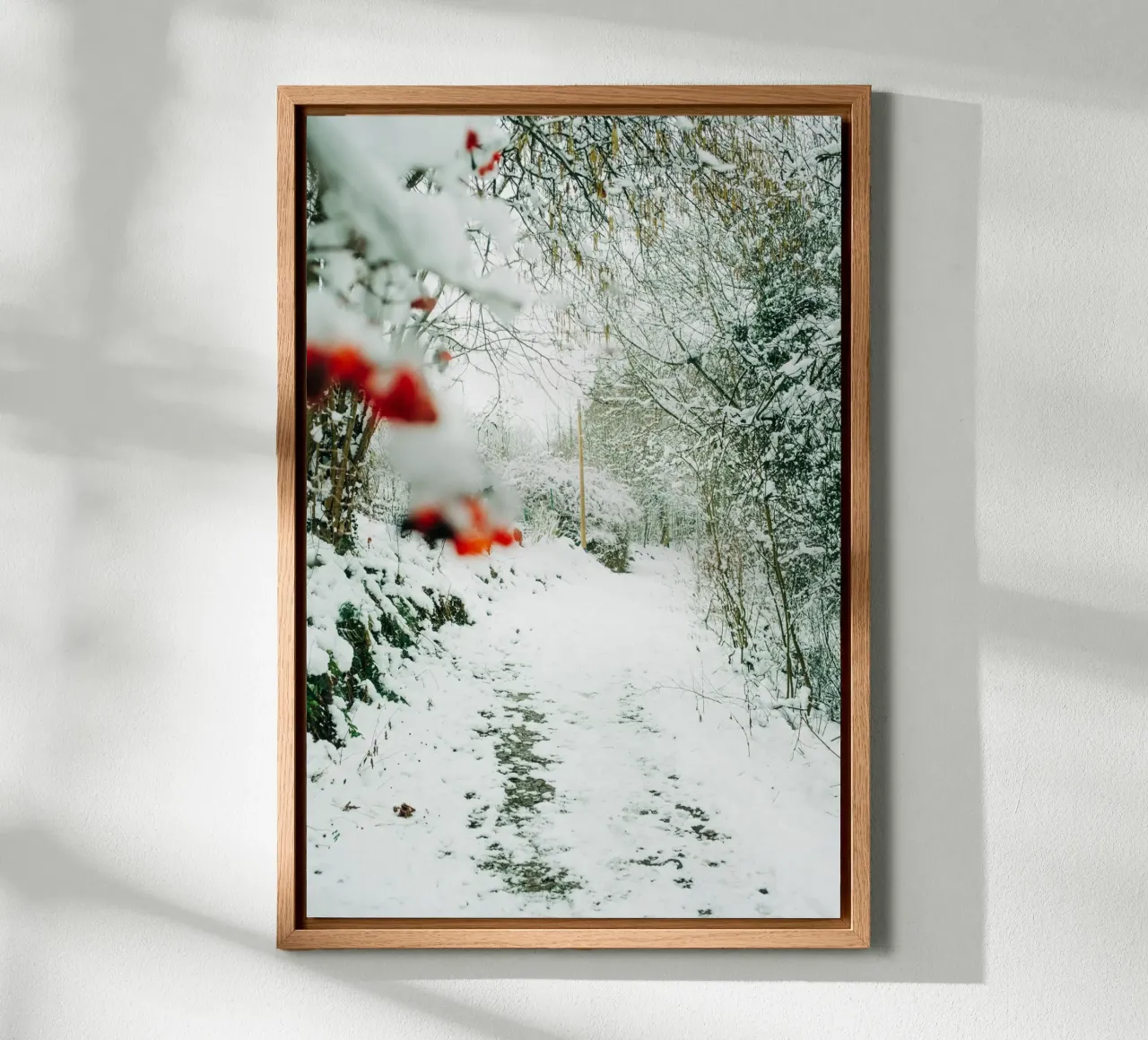 Paesaggio invernale Svizzera sassone - Sentiero forestale con la neve alluminio dibond da Bold and Retro