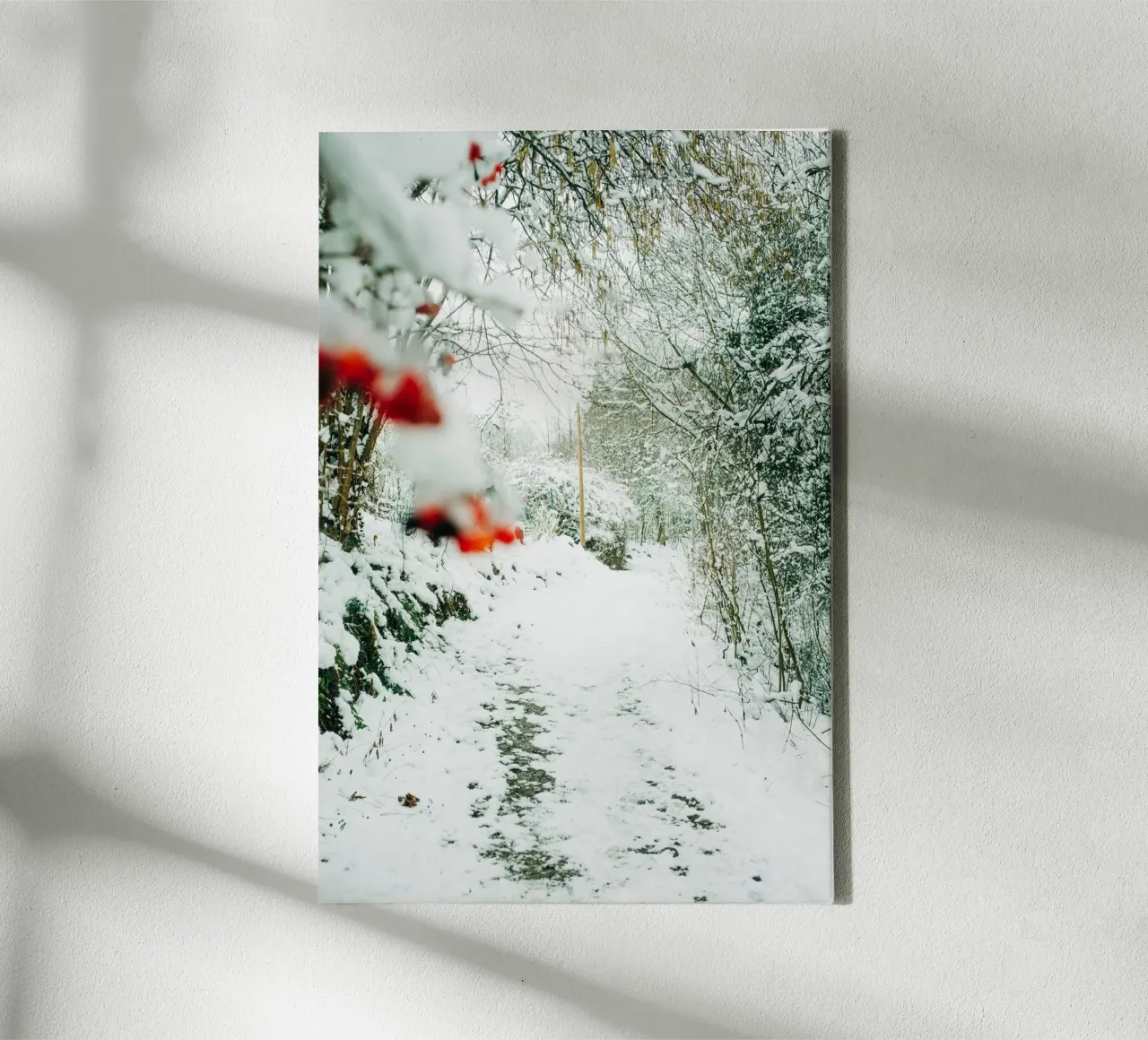 Winterlandschap Saksisch Zwitserland - Bospad met sneeuw canvas van Bold and Retro