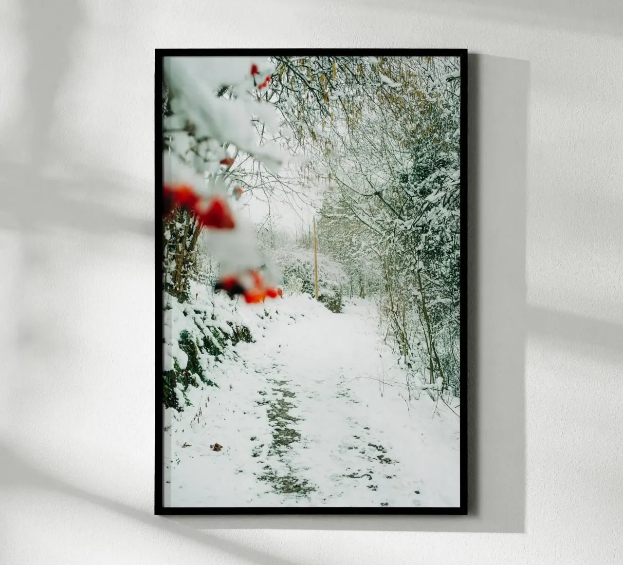 Paesaggio invernale Svizzera sassone - Sentiero forestale con la neve carta hahnemühle da Bold and Retro