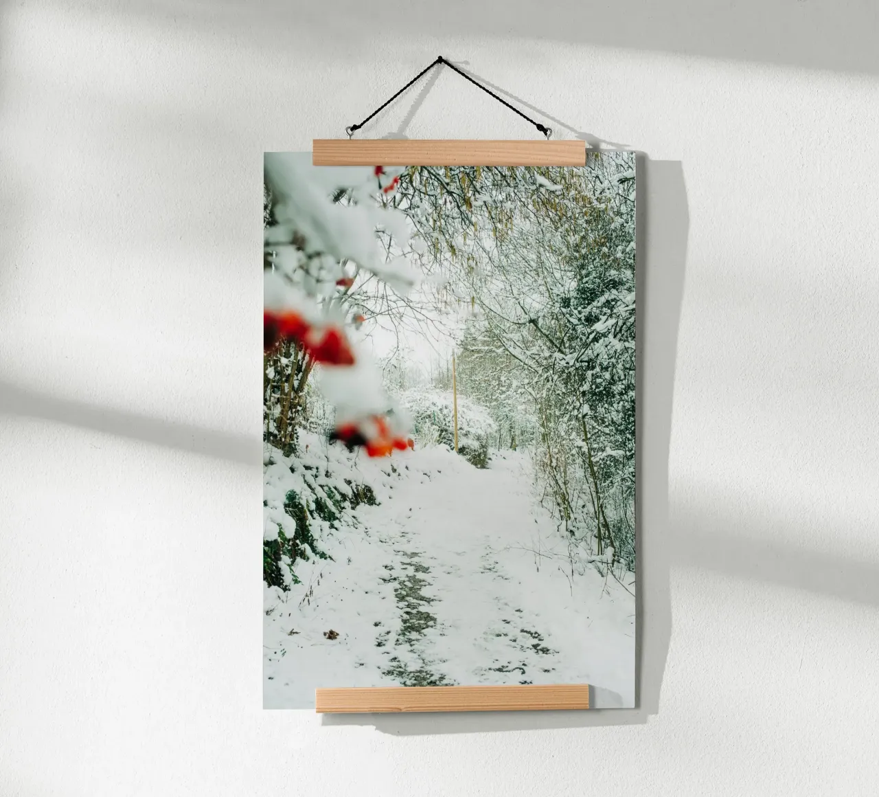 Paesaggio invernale Svizzera sassone - Sentiero forestale con la neve carta hahnemühle da Bold and Retro